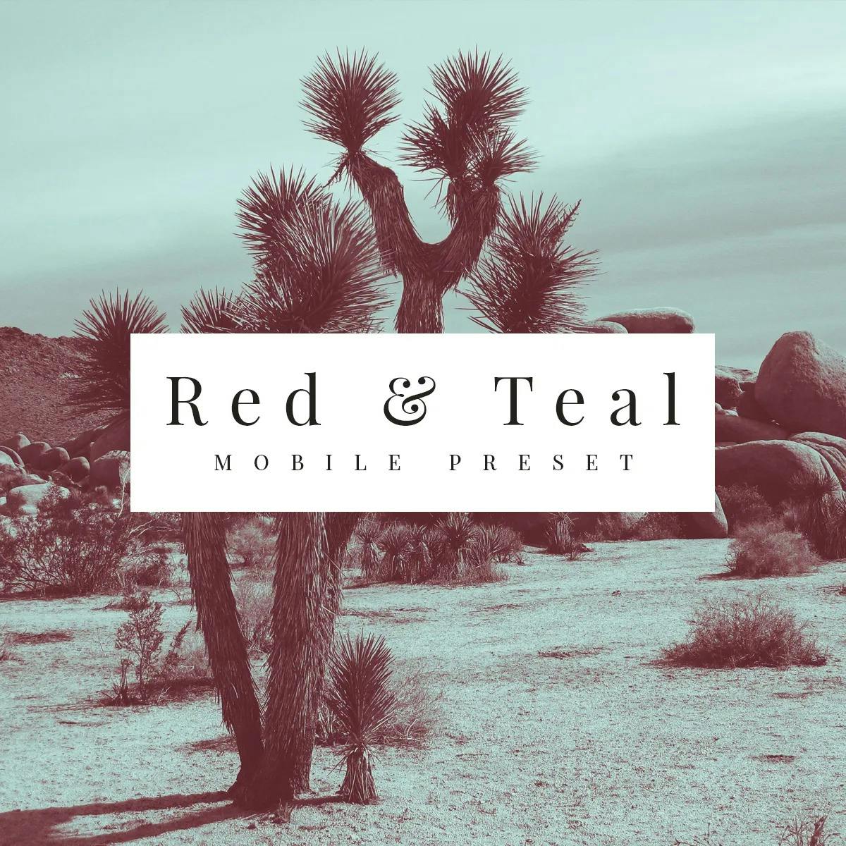 Red and teal photo of a desert with cacti.