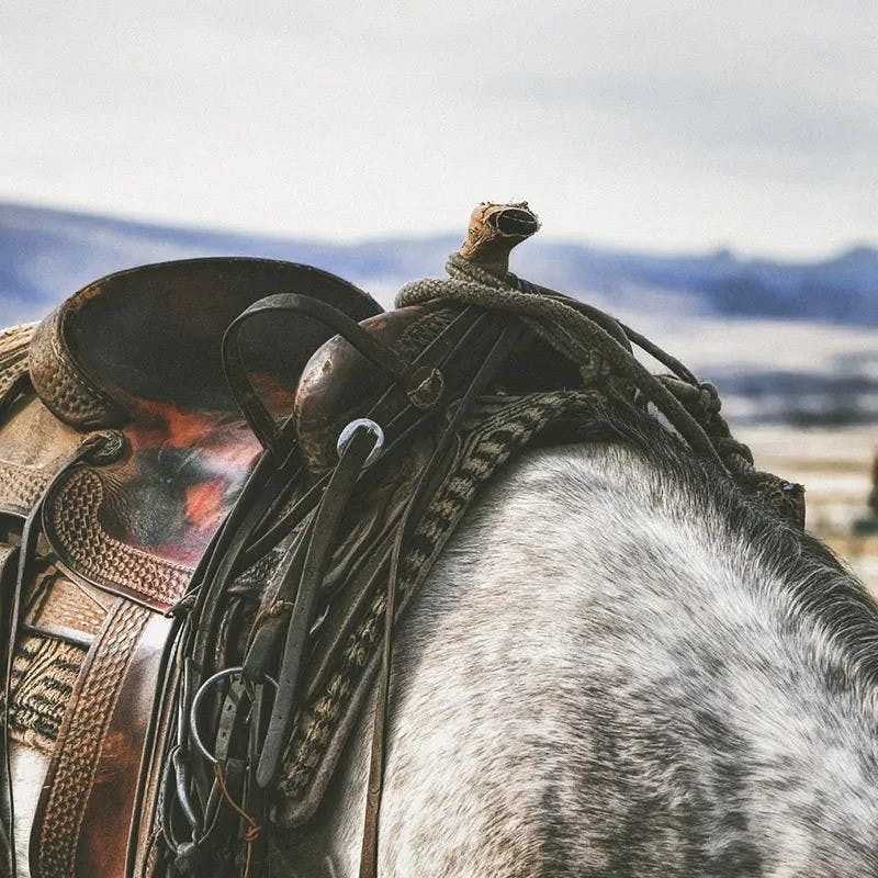 Horse saddle.