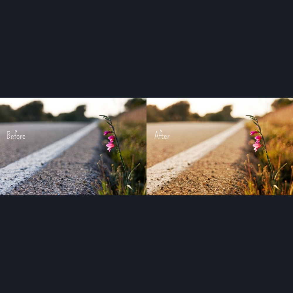 Flower by the road.