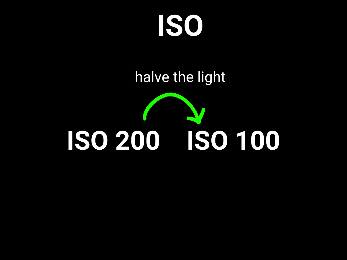 Graphic showing how to halve the light with ISO.