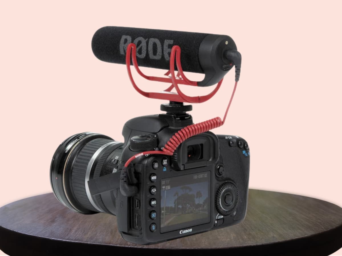 External microphone on a hot shoe on a camera.