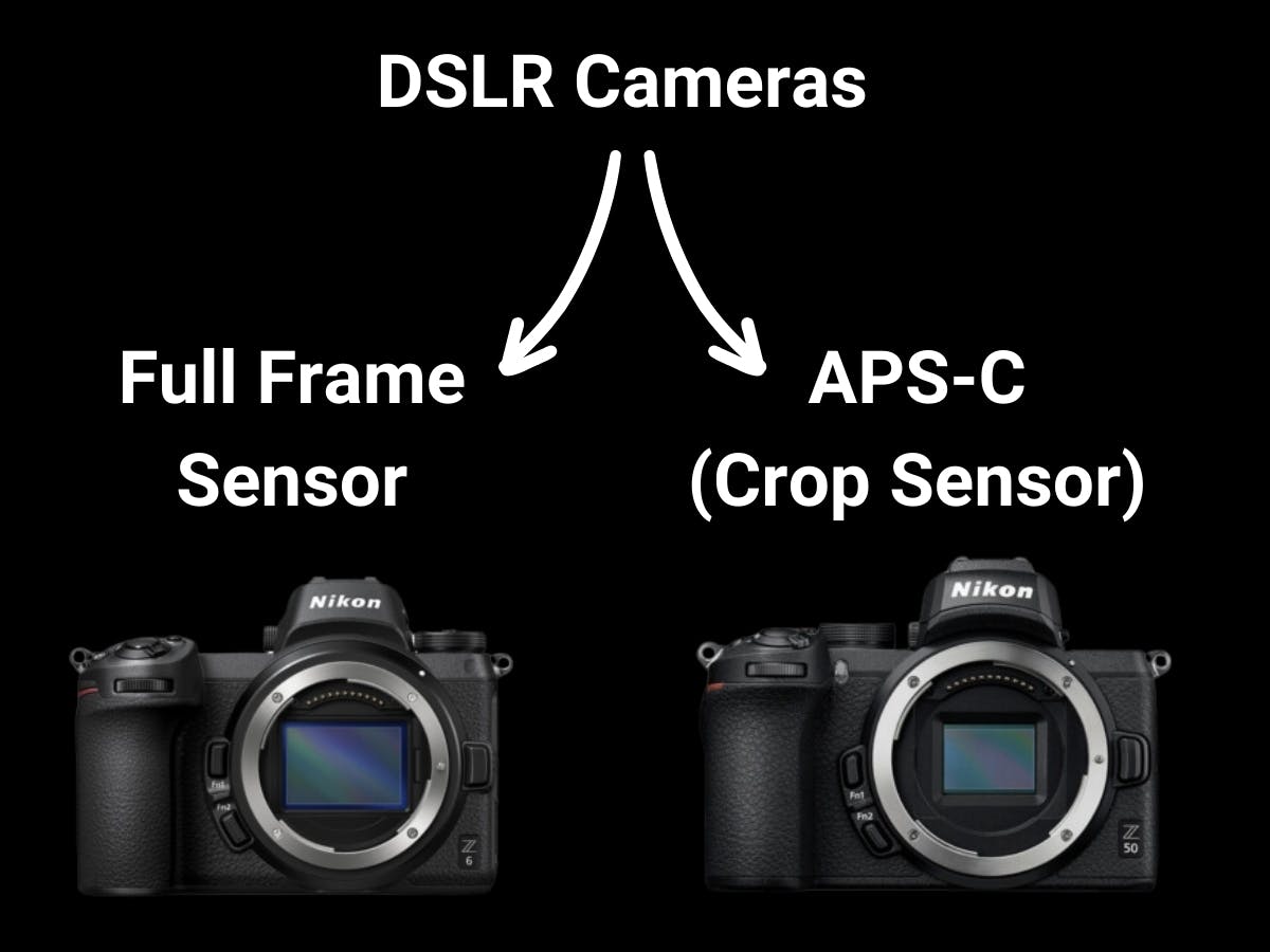 A full frame sensor and a crop sensor camera.