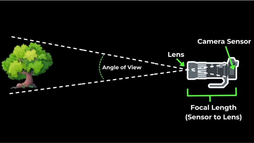 Graphic showing how focal length works.