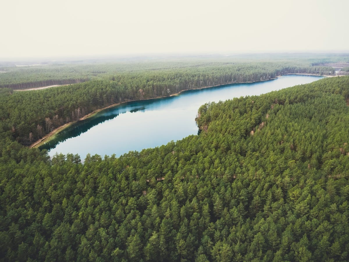 Landscape photo of trees near a lake.