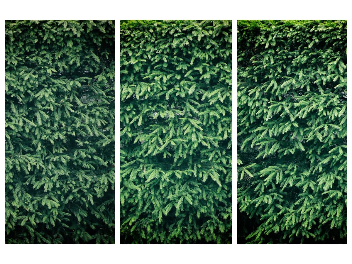 Triptych photography repetition.