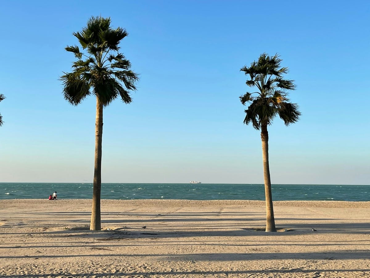 Two palm trees on the sand by the ocean.