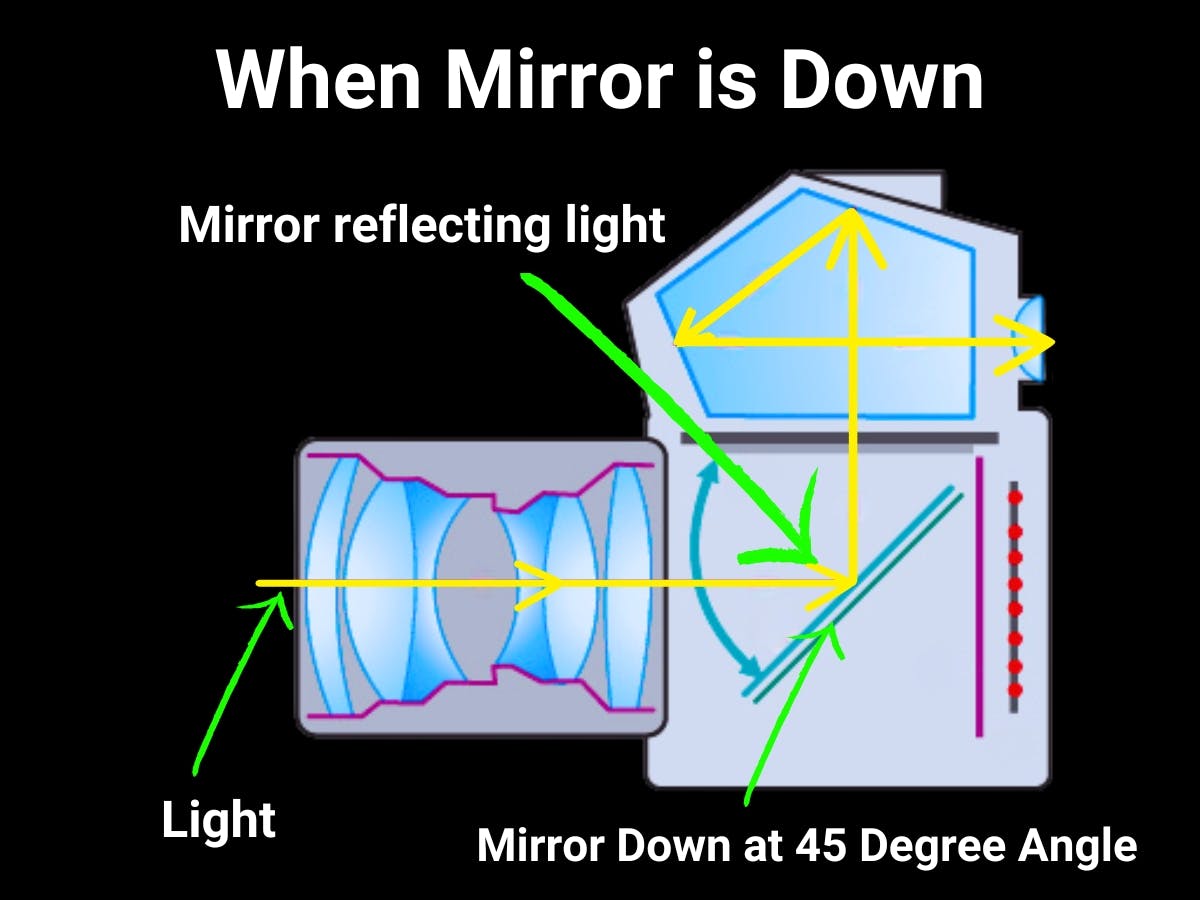 Graphic showing how DSLR camera works when mirror is down.