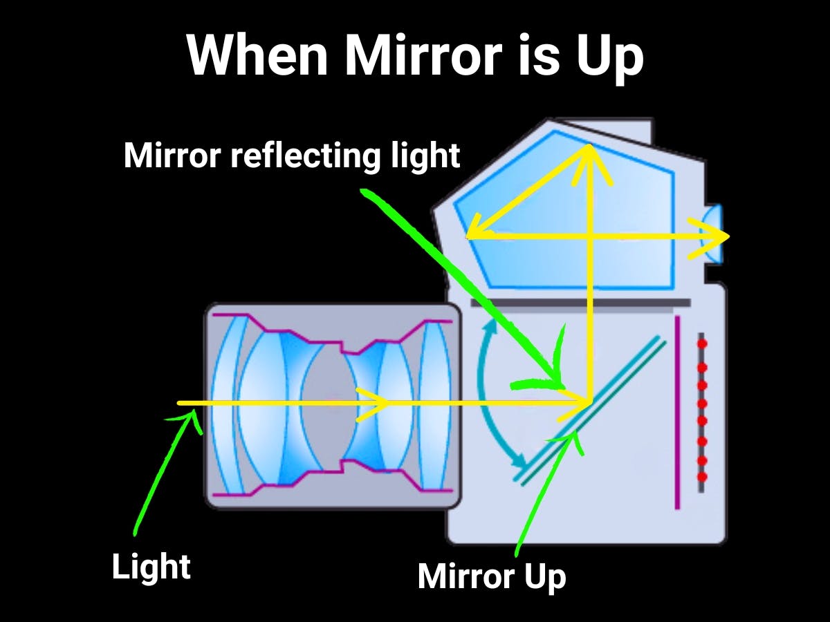 Graphic showing how DSLR camera works when mirror is up.