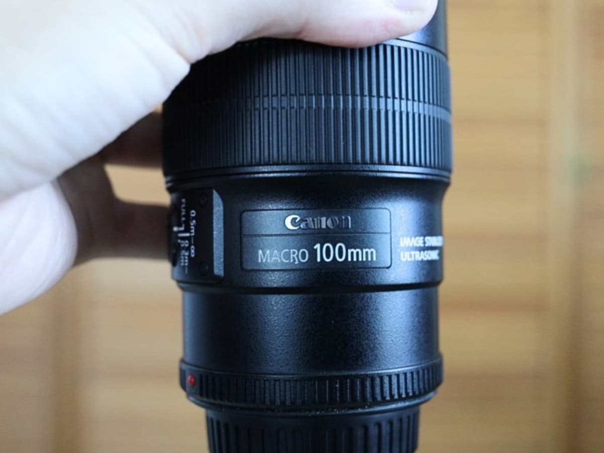 Canon EF 100mm f/2.8L Macro Holding the Canon EF 100mm f/2.8L Macro.