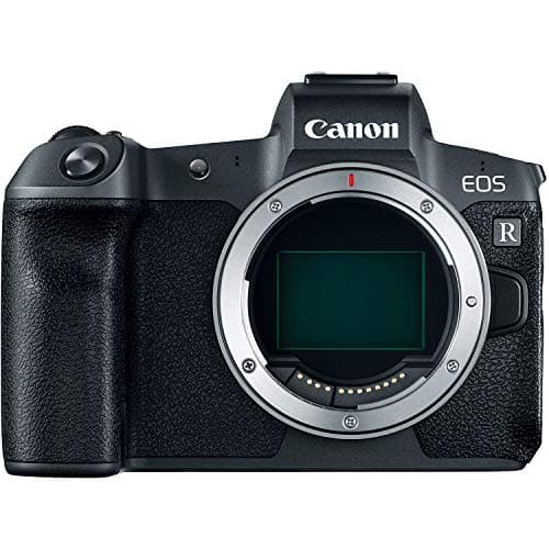 Picture of the Canon EOS R camera