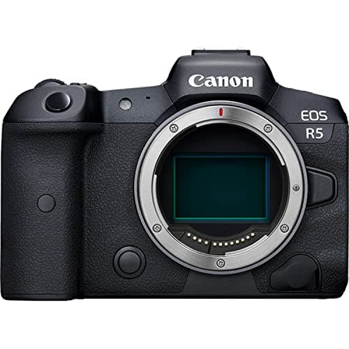 Picture of the Canon EOS R5 camera