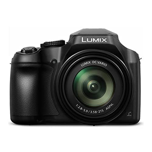 Picture of the Panasonic Lumix FZ80 camera